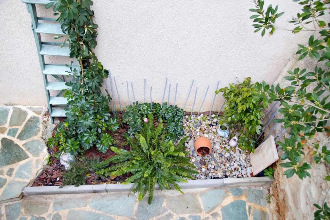 Aroura Homes Garden House 2Br 2Ba Free Parking Atény Exteriér fotografie